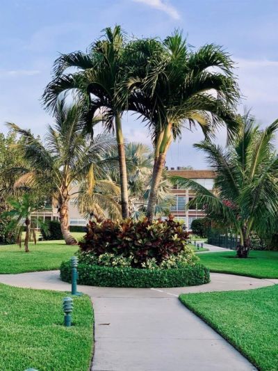 3505 NW 48th Avenue, Unit 404, Lauderdale Lakes, FL 33319 Photo