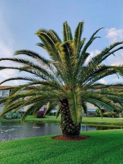 3505 NW 48th Avenue, Unit 404, Lauderdale Lakes, FL 33319 Photo