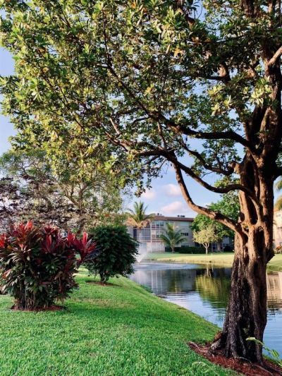 3505 NW 48th Avenue, Unit 404, Lauderdale Lakes, FL 33319 Photo