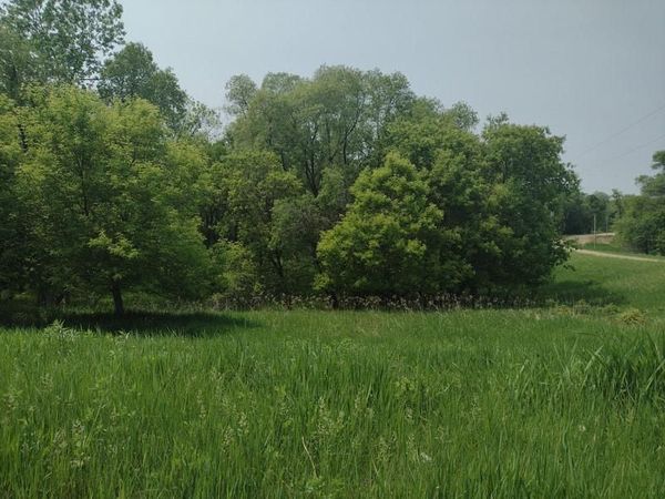 Lot 7 Block 2 Crystal Beach Road , Pelican Rapids, MN 56572