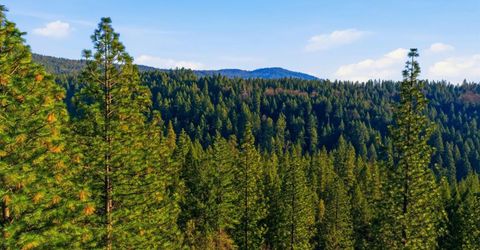 Kentucky Flat Rd, Georgetown, CA 95634 Photo