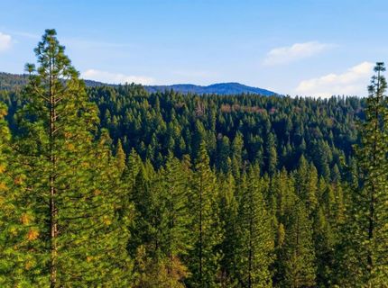 Kentucky Flat Rd, Georgetown, CA 95634 Photo