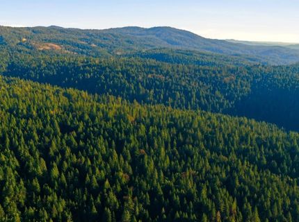 Kentucky Flat Rd, Georgetown, CA 95634 Photo
