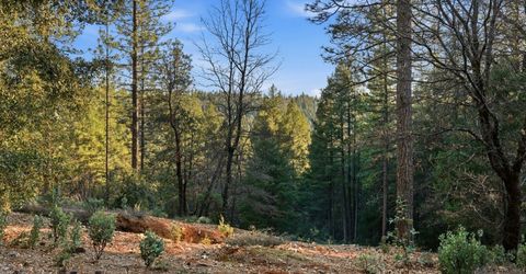 Kentucky Flat Rd, Georgetown, CA 95634 Photo