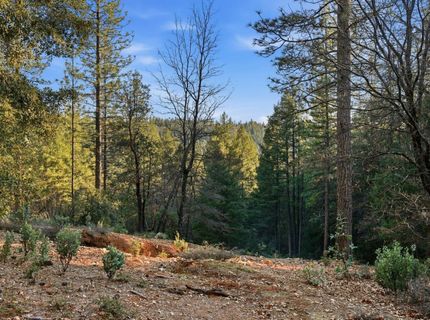 Kentucky Flat Rd, Georgetown, CA 95634 Photo