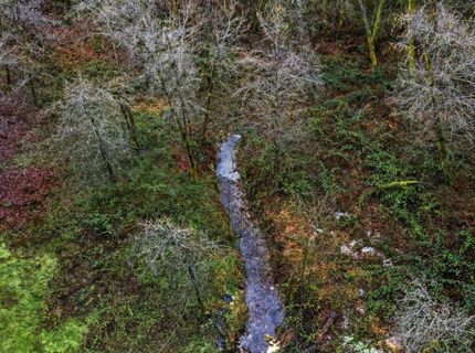 Kentucky Flat Rd, Georgetown, CA 95634 Photo