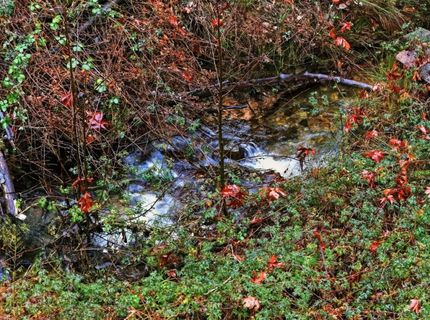 Kentucky Flat Rd, Georgetown, CA 95634 Photo