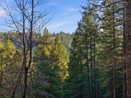 Kentucky Flat Rd, Georgetown, CA 95634 Photo