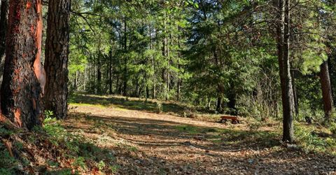 Kentucky Flat Rd, Georgetown, CA 95634 Photo