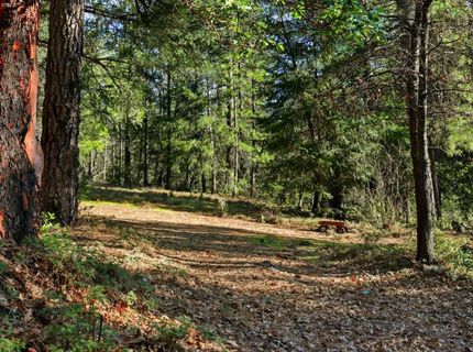 Kentucky Flat Rd, Georgetown, CA 95634 Photo