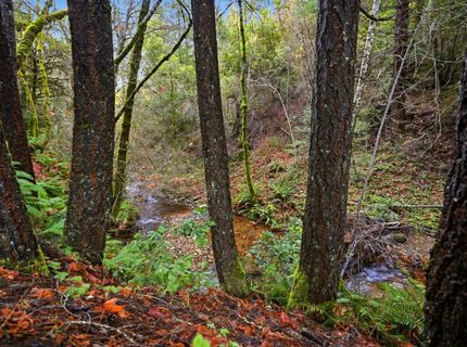 Kentucky Flat Rd, Georgetown, CA 95634 Photo