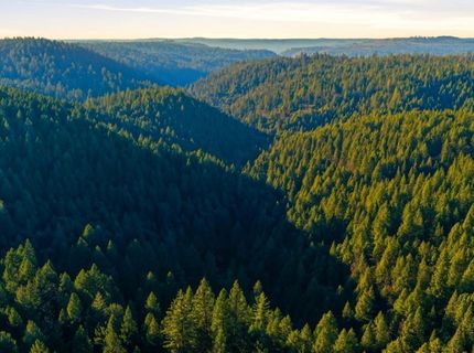 Kentucky Flat Rd, Georgetown, CA 95634 Photo