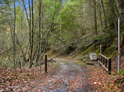 Kentucky Flat Rd, Georgetown, CA 95634 Photo