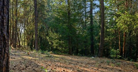 Kentucky Flat Rd, Georgetown, CA 95634 Photo