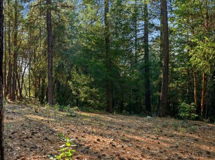 Kentucky Flat Rd, Georgetown, CA 95634 Photo