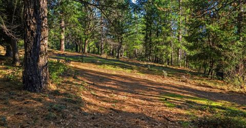 Kentucky Flat Rd, Georgetown, CA 95634 Photo