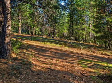 Kentucky Flat Rd, Georgetown, CA 95634 Photo