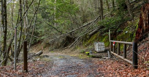 Kentucky Flat Rd, Georgetown, CA 95634 Photo