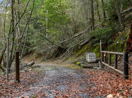 Kentucky Flat Rd, Georgetown, CA 95634 Photo