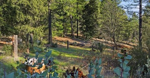 Kentucky Flat Rd, Georgetown, CA 95634 Photo