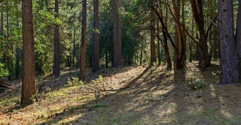 Kentucky Flat Rd, Georgetown, CA 95634 Photo