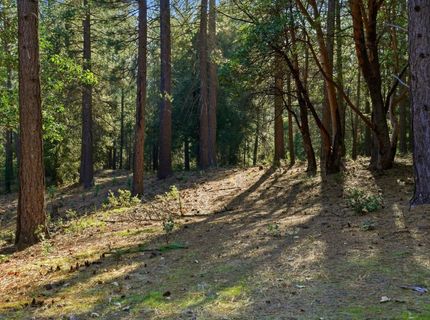 Kentucky Flat Rd, Georgetown, CA 95634 Photo