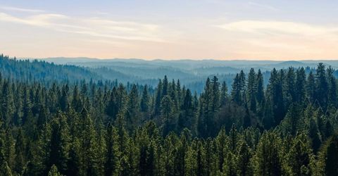 Kentucky Flat Rd, Georgetown, CA 95634 Photo