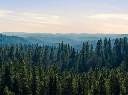 Kentucky Flat Rd, Georgetown, CA 95634 Photo