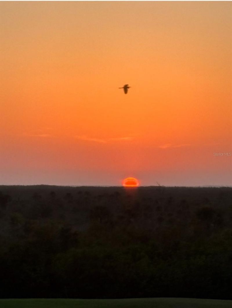 14061 Heritage Landing Boulevard, Unit 431, Punta Gorda, FL 33955 Photo