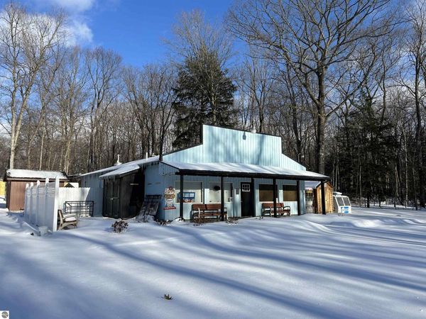 8294 Deadstream Road, Honor, MI 49640