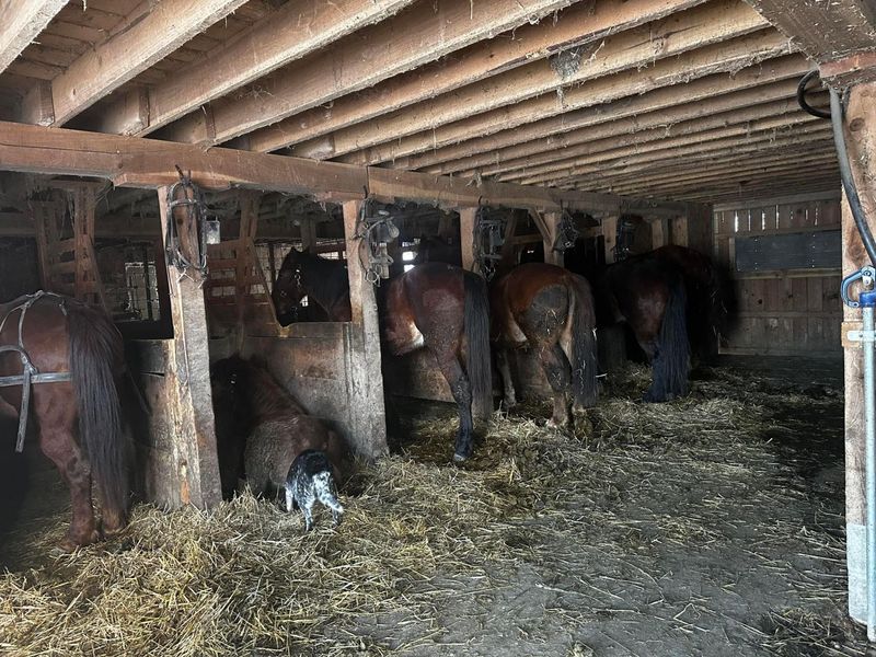 623 Flagdale Road S, Junction City, OH 43748 Photo 10