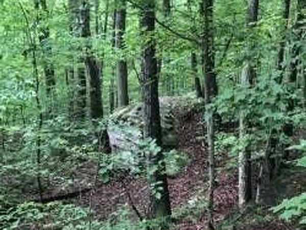 2818 Wilson Avenue, Signal Mountain, TN 37377