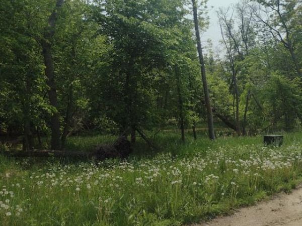 Lot 2 Block 3 Crystal Beach Road , Pelican Rapids, MN 56572