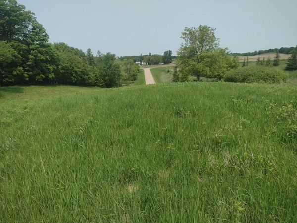 Lot 1 Block 3 Crystal Beach Road , Pelican Rapids, MN 56572