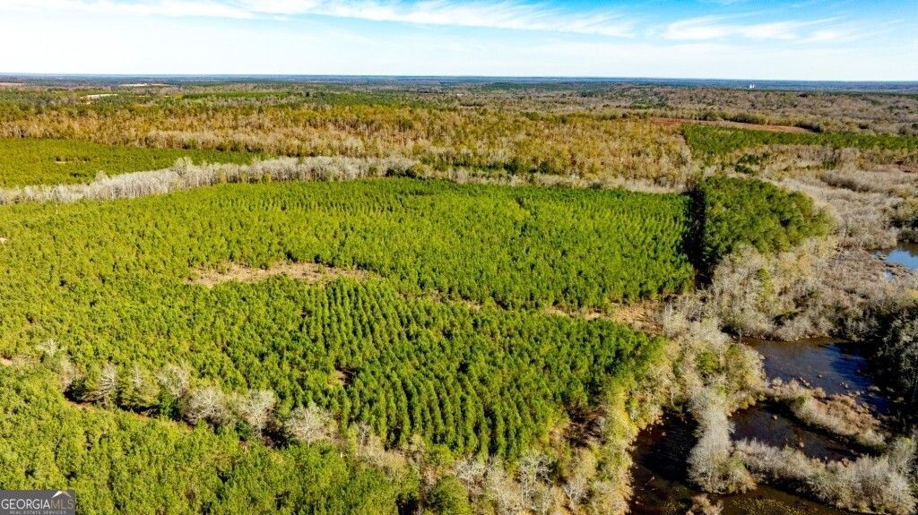 0 Mead Rd. & Cemetery Road, Ideal, GA 31041 Main Photo