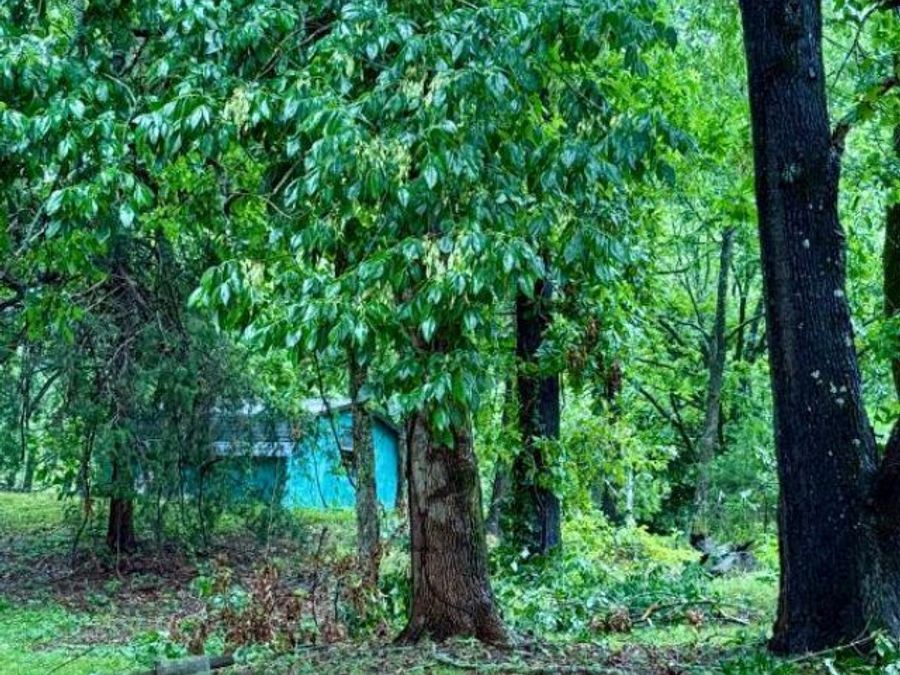 Property Image 31