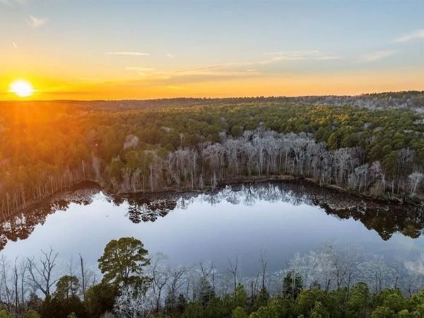 TBD An County Road 314 , Frankston, TX 75763