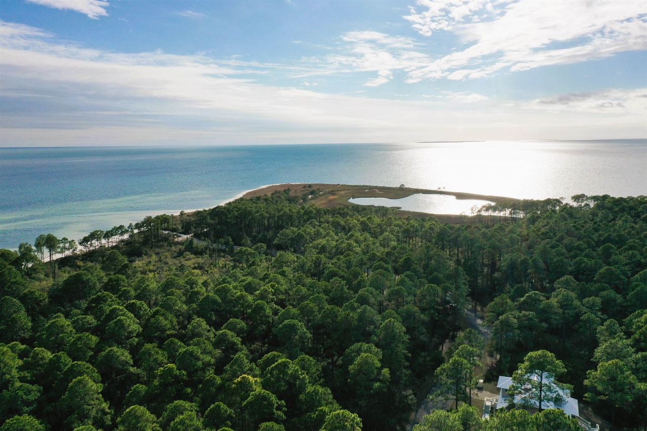 160 Bunkhouse Drive, Saint Teresa, FL 32358 Photo