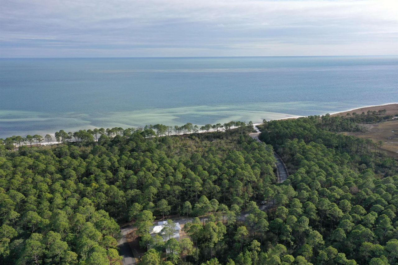 160 Bunkhouse Drive, Saint Teresa, FL 32358 Photo