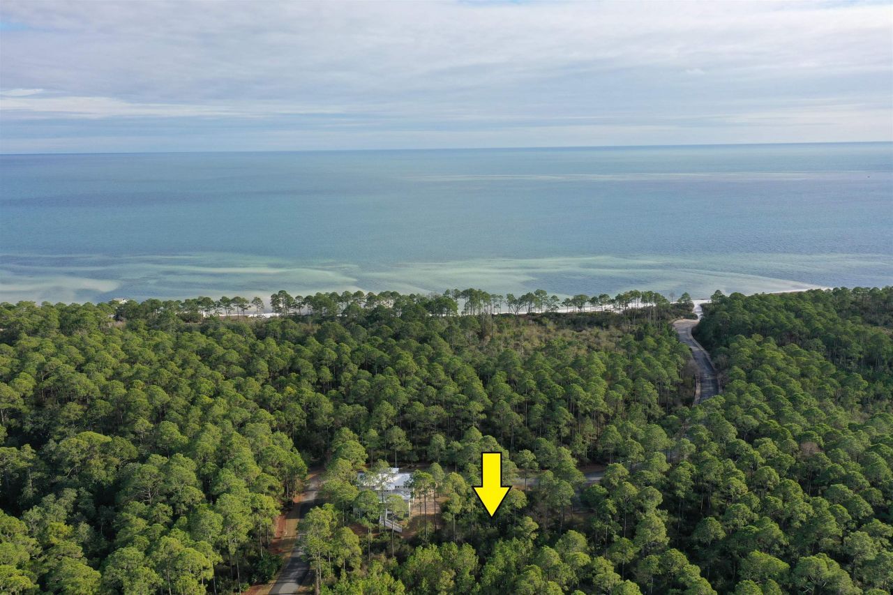 160 Bunkhouse Drive, Saint Teresa, FL 32358 Photo