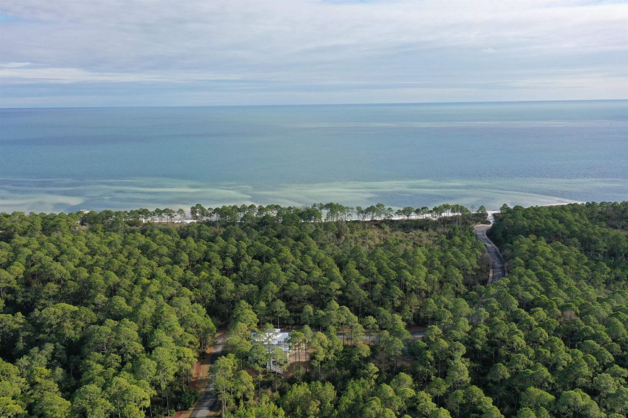 160 Bunkhouse Drive, Saint Teresa, FL 32358 Photo