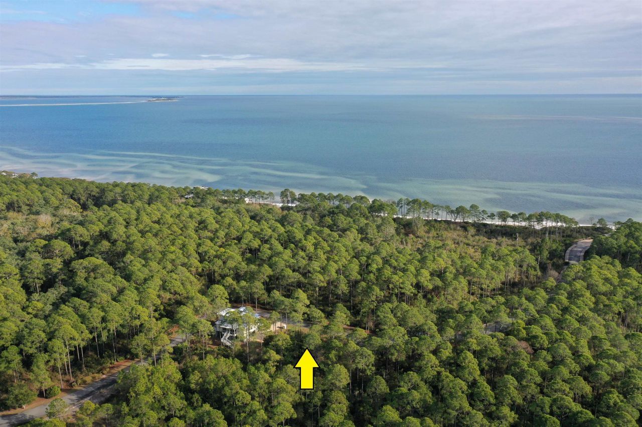 160 Bunkhouse Drive, Saint Teresa, FL 32358 Photo