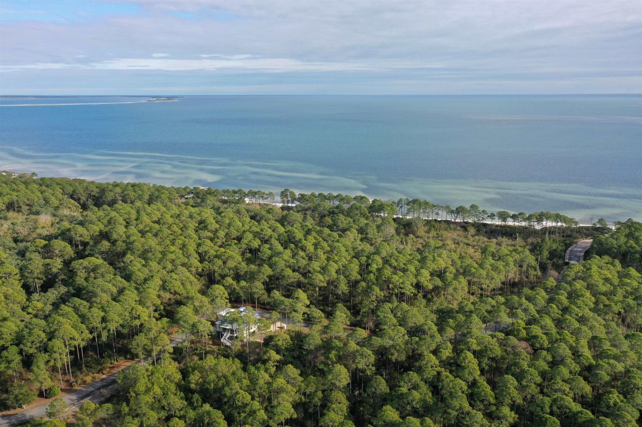 160 Bunkhouse Drive, Saint Teresa, FL 32358 Photo