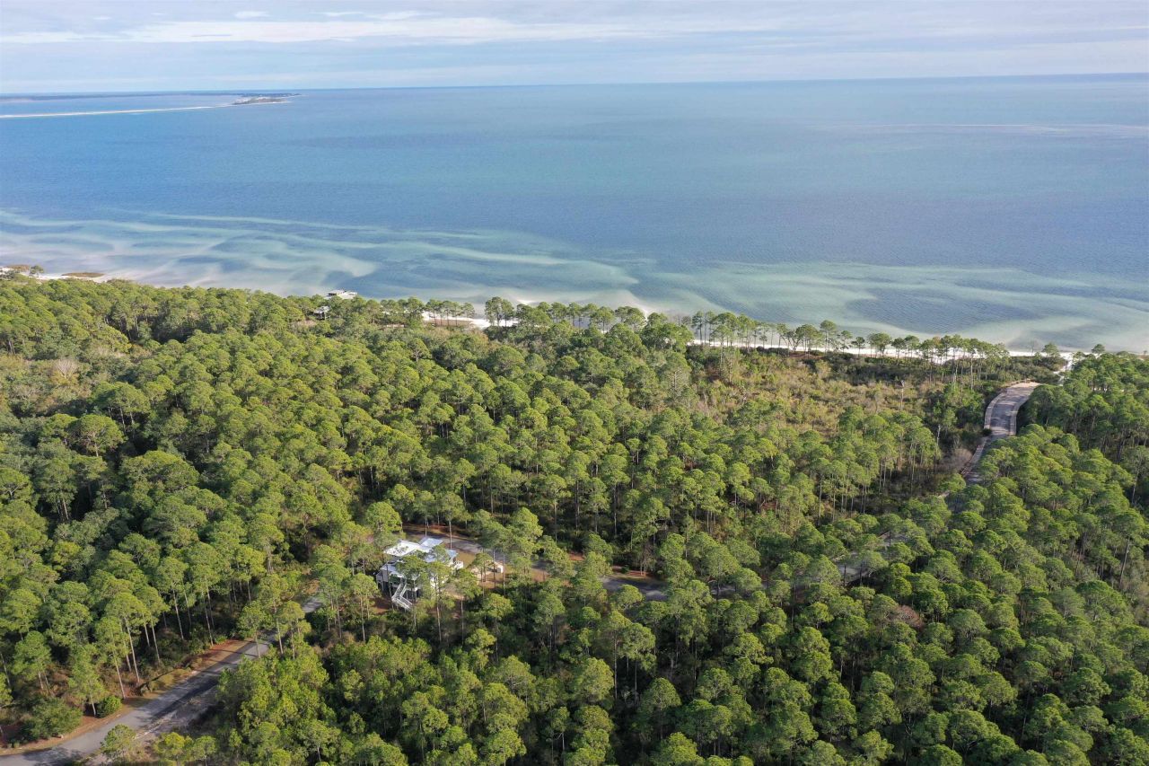 160 Bunkhouse Drive, Saint Teresa, FL 32358 Photo