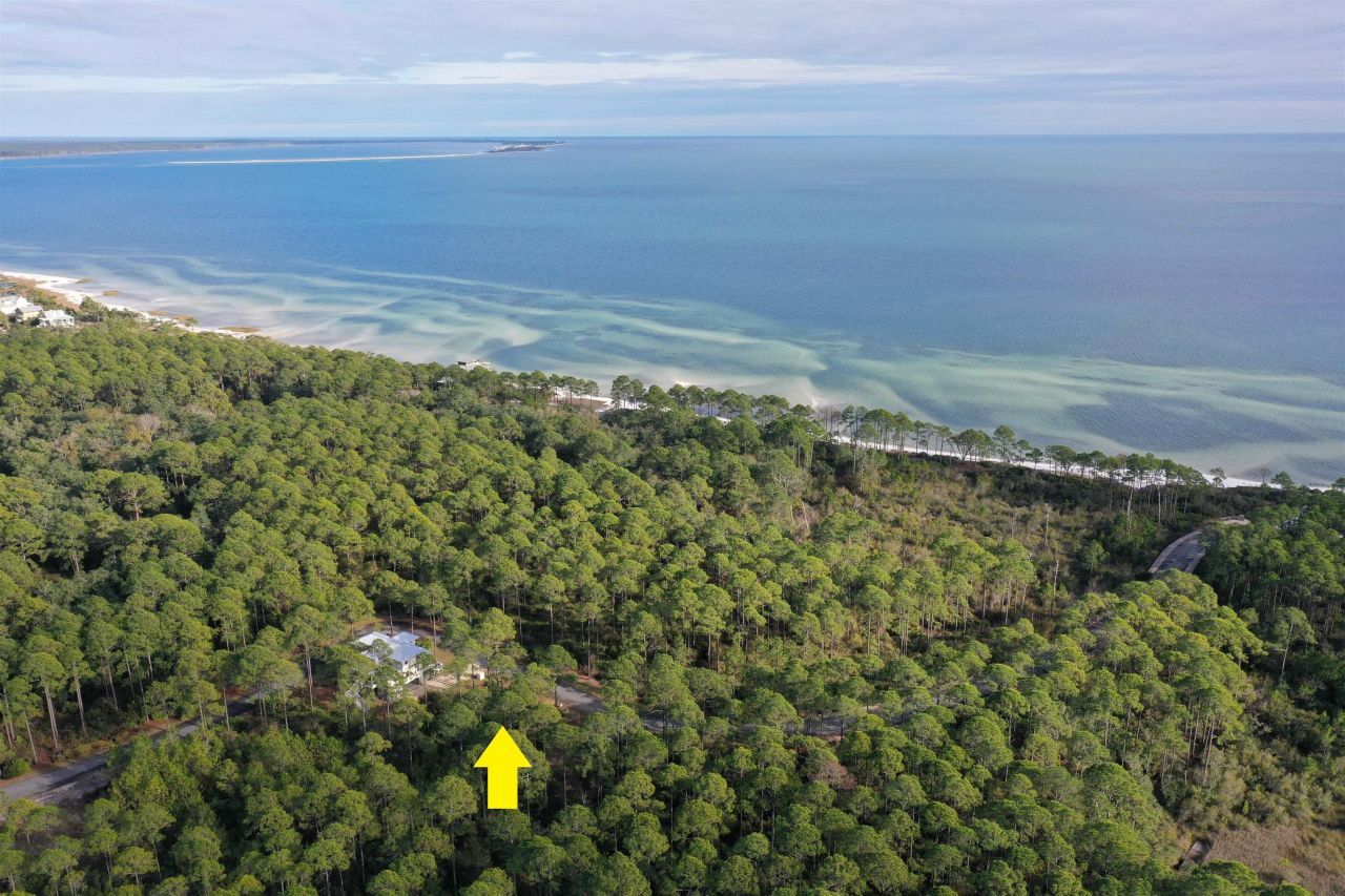 160 Bunkhouse Drive, Saint Teresa, FL 32358 Photo