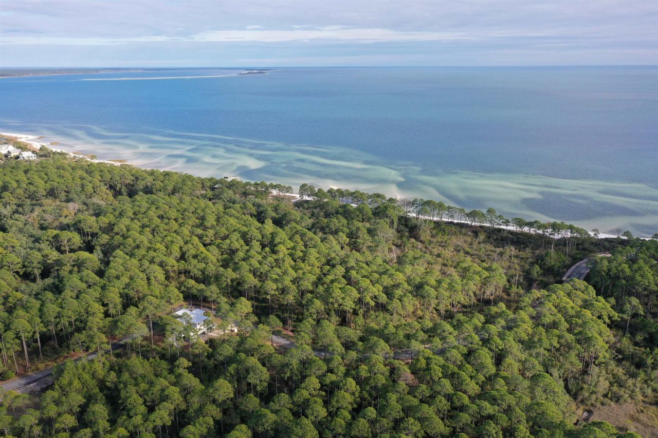 160 Bunkhouse Drive, Saint Teresa, FL 32358 Photo