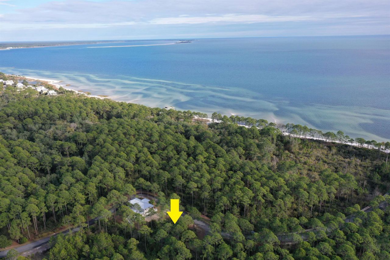 160 Bunkhouse Drive, Saint Teresa, FL 32358 Photo