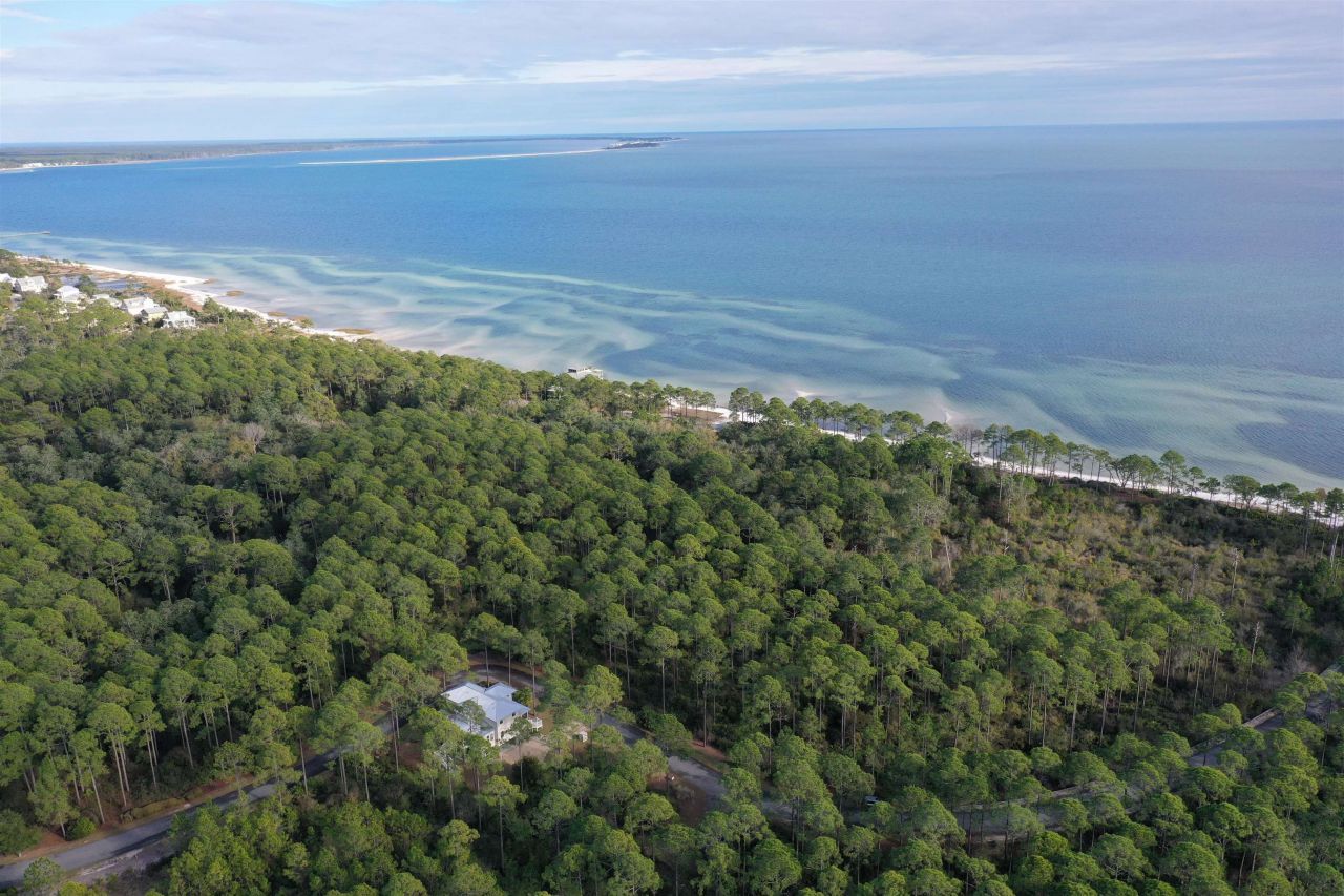 160 Bunkhouse Drive, Saint Teresa, FL 32358 Photo