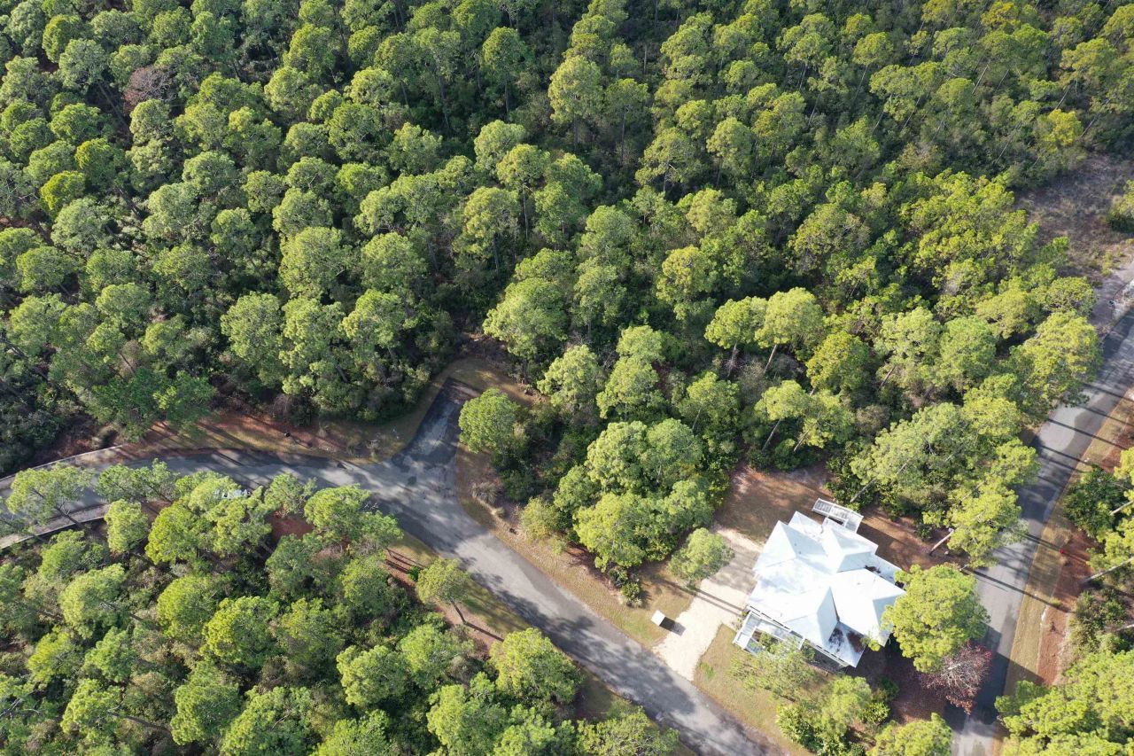 160 Bunkhouse Drive, Saint Teresa, FL 32358 Photo