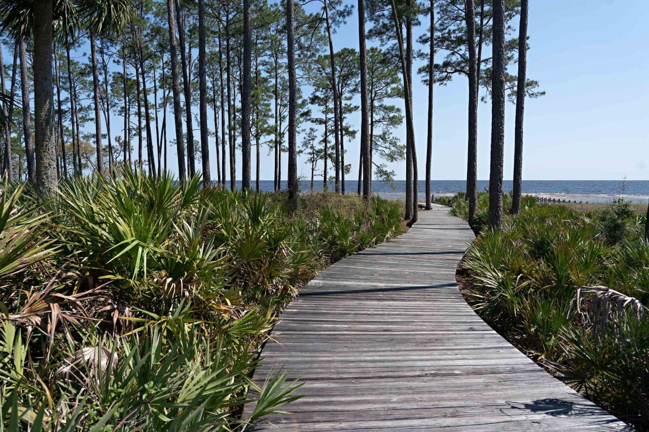 160 Bunkhouse Drive, Saint Teresa, FL 32358 Photo